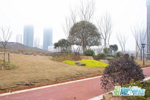 最火的公园微头条,探寻城市绿洲的活力瞬间