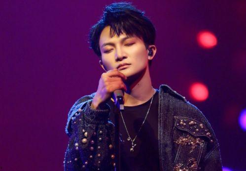 赣州籍歌手明星,赣州籍歌手明星风采掠影