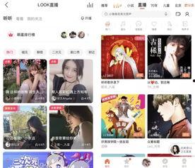 手机头条有打赏,开启互动新篇章”