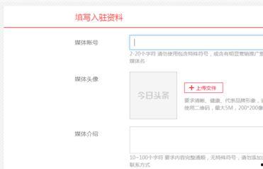 今日头条怎么预约账号,轻松掌握账号生成技巧”