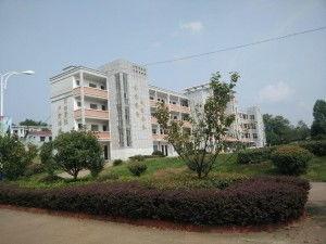 江山贺村明星村,江山乡村振兴的璀璨明珠”