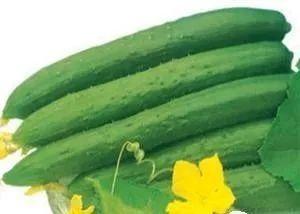 夏天吃的三瓜是哪三瓜呢,“三瓜”清凉一夏