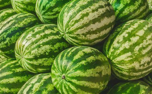 年龄大的时候吃瓜,品味人生瓜果——老年生活里的甜蜜时光