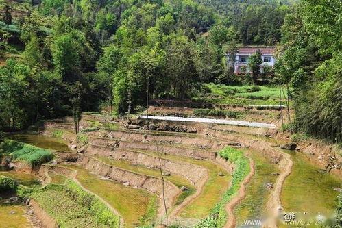 商南网红打卡小西沟,网红打卡地，自然风光与人文情怀交融之旅”