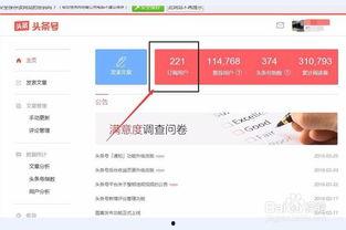 头条用户信息在哪里看到,揭秘头条用户背后的故事