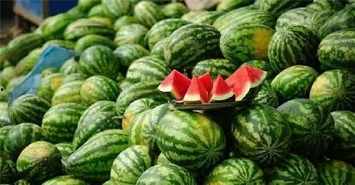 广西行健吃瓜视频,一场接地气的乡村美食盛宴