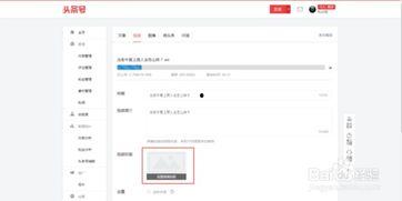 在头条号发视频如何上传,轻松生成概述与副标题