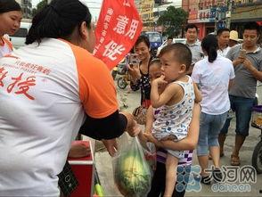 英语老师卖瓜,From Teacher to Seller: The Unlikely Tale of an English Professor's Melon Marketing Mastery