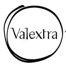 DEL网红,揭秘网络红人的崛起之路