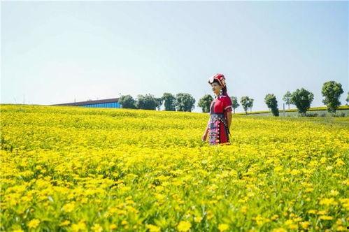 太平湖网红拍照,网红镜头下的诗意画卷