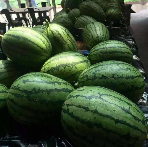 吃瓜在京圈,在京圈那些不为人知的幕后故事