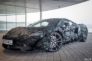 网红汽车羽毛摆件价格,价格亲民，时尚潮流新宠