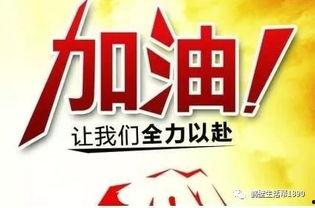 合肥加油爆料视频大全