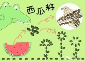 小鳄鱼表情吃瓜,揭秘网络热梗背后的趣味与思考