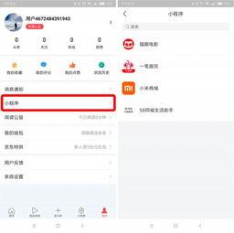 头条里面有几个小程序啊,小程序数量揭秘