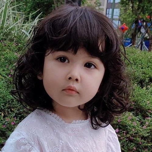 唉尼斯网红,网络红人的崛起与影响力