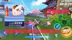 飞车宠物最新爆料图,炫酷造型与神秘技能大揭秘！