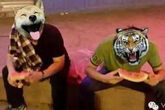 虚拟直播吃瓜,揭秘网络红人的幕后故事