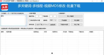 怎么用迅雷下载头条视频