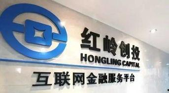 红岭创投网贷之家,揭秘中国P2P行业领军者的崛起之路