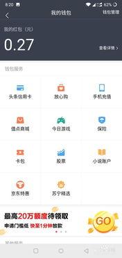 头条在哪找我的钱包