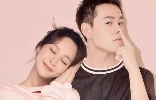 为什么明星说撒狗粮,撒狗粮背后的甜蜜真相