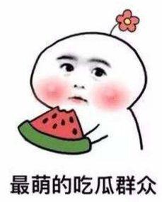 发疯吃瓜宋千千免费阅读,一场免费阅读的狂欢之旅