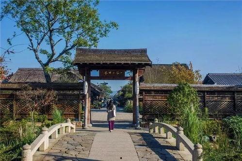 当阳的网红,网络新势力崛起