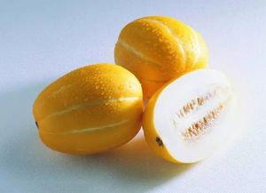 怀孕初期可以吃石灰瓜,石灰瓜助力营养均衡，呵护母婴健康